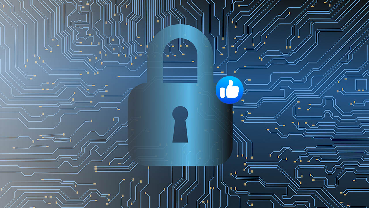 blockchain backup